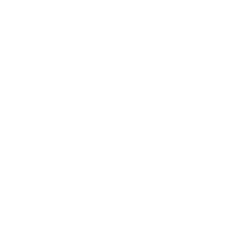 Second Freedom Collective